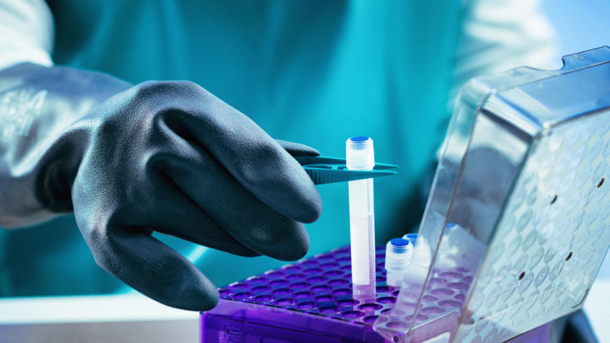 Biobanking. Technician preparing biological sample for deep freezing